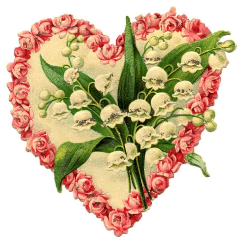 💐Love🌺